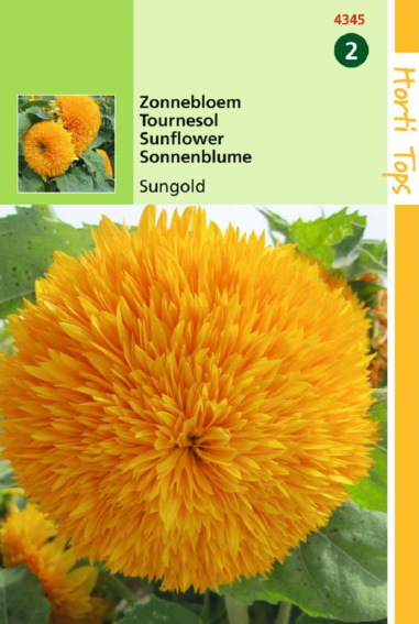 Sonnenblume Sungold High (Helianthus) 100 Samen HT